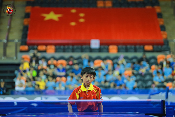 91视频网站在线观看