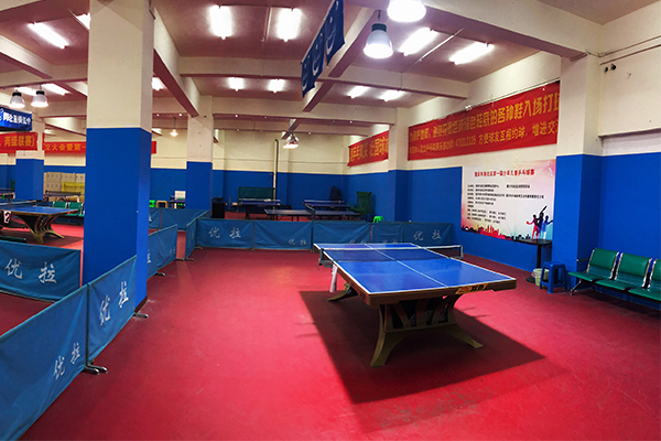 91视频网站在线观看