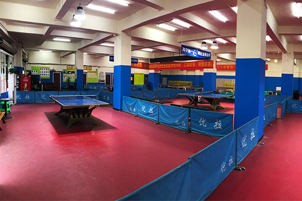 91视频网站在线观看