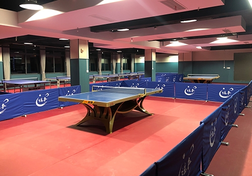 少兒91视频网站在线观看場地