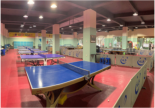 91视频网站在线观看