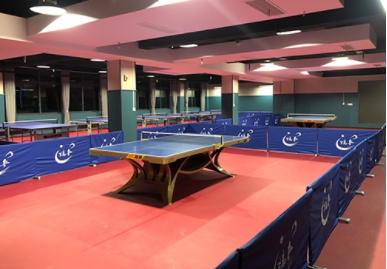 91视频网站在线观看學校